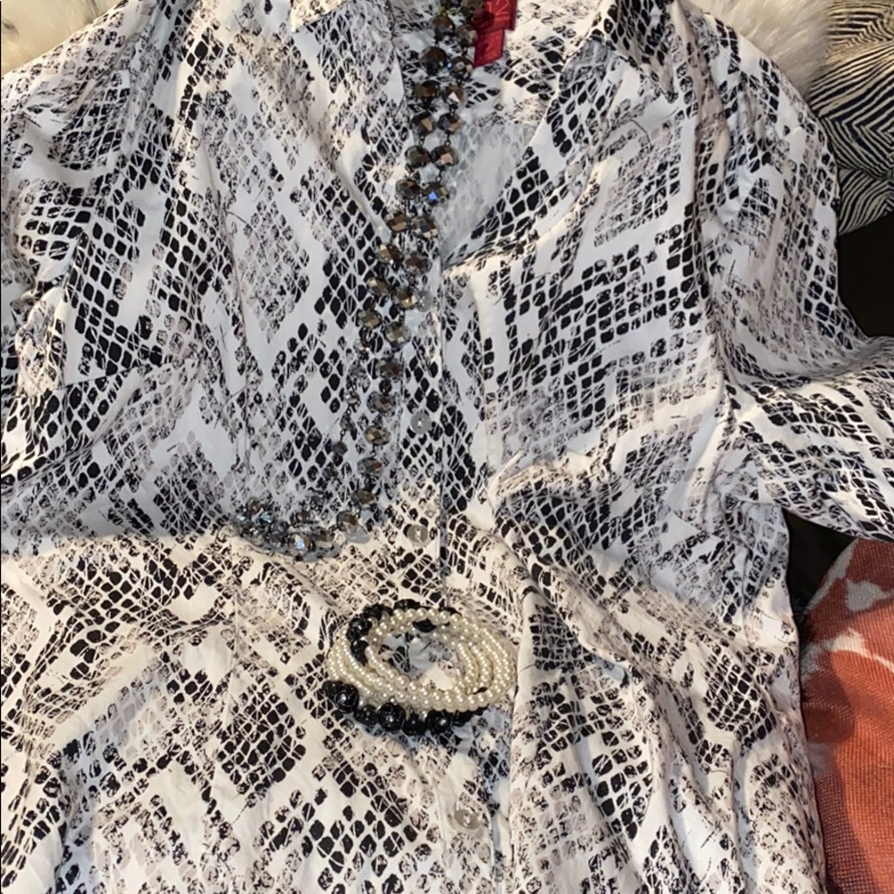 212 Collection button down - Picture 3 of 5